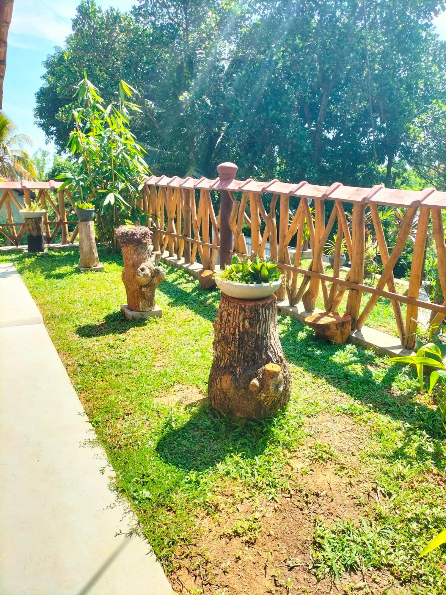 Blue Ocean Tree House Hiriketiya Villa Dikwella Exteriör bild